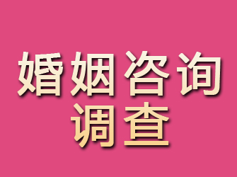 沙河口婚姻咨询调查