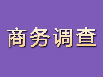 沙河口商务调查